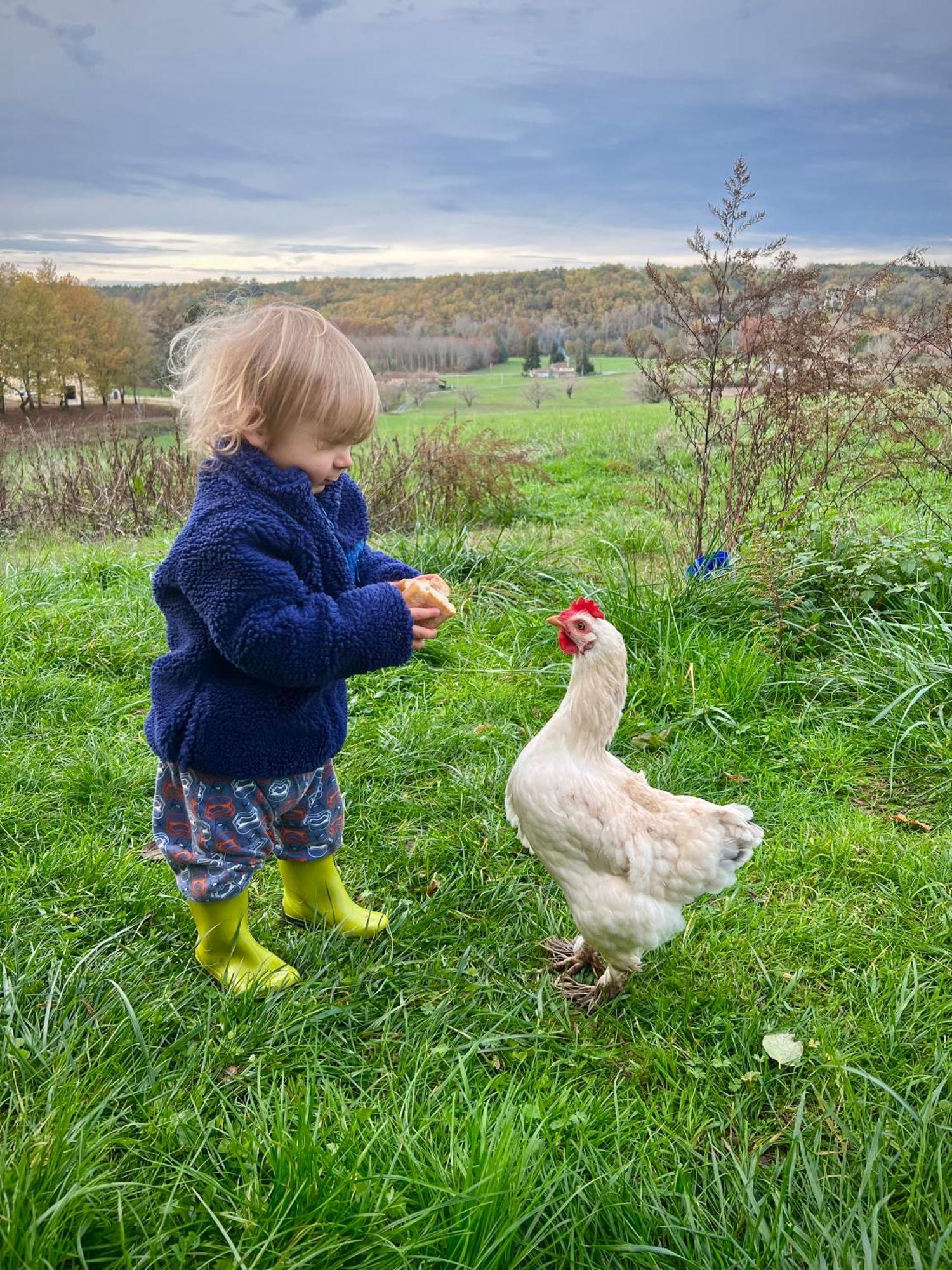 Ferme Gite Le Coeur Des Petits Chenes Saint-Pierre-de-Côle Esterno foto