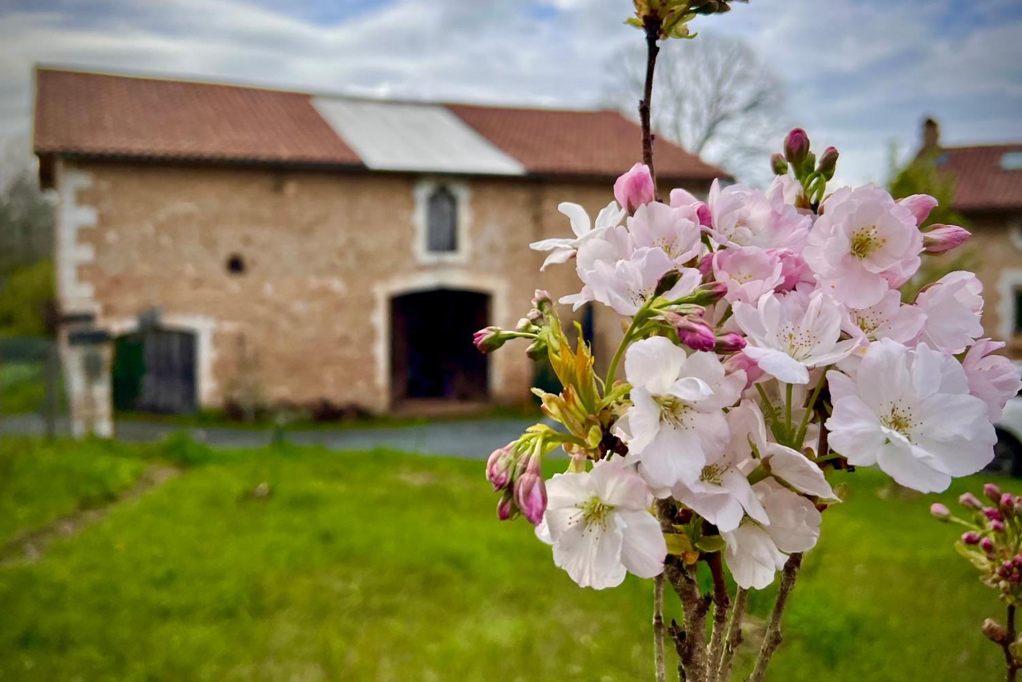 Ferme Gite Le Coeur Des Petits Chenes Saint-Pierre-de-Côle Esterno foto