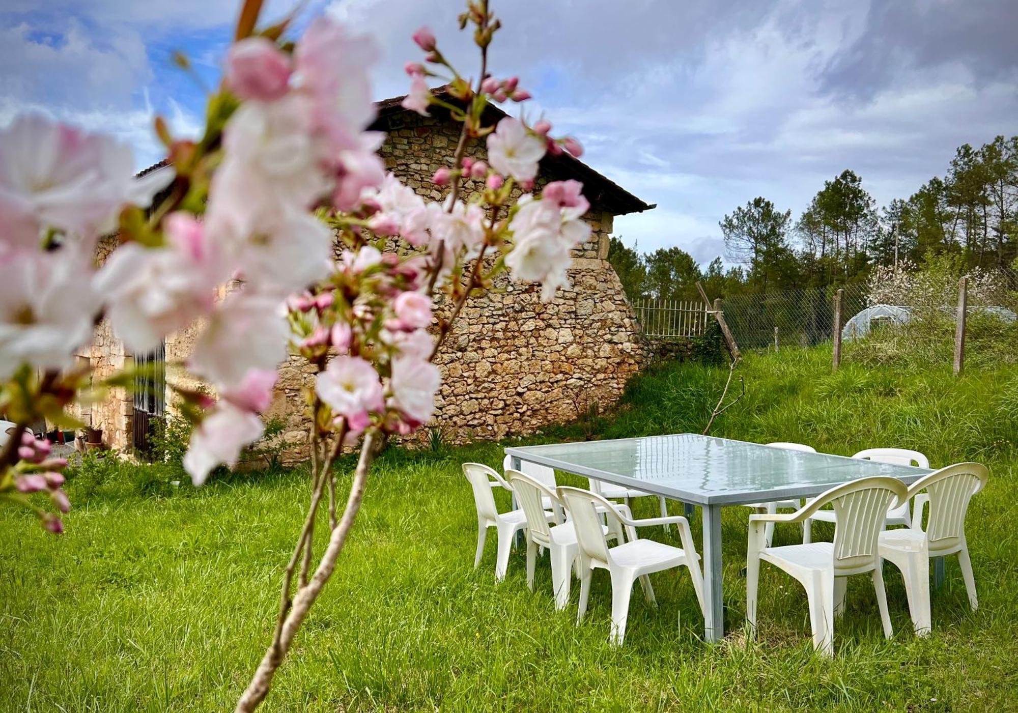 Ferme Gite Le Coeur Des Petits Chenes Saint-Pierre-de-Côle Esterno foto