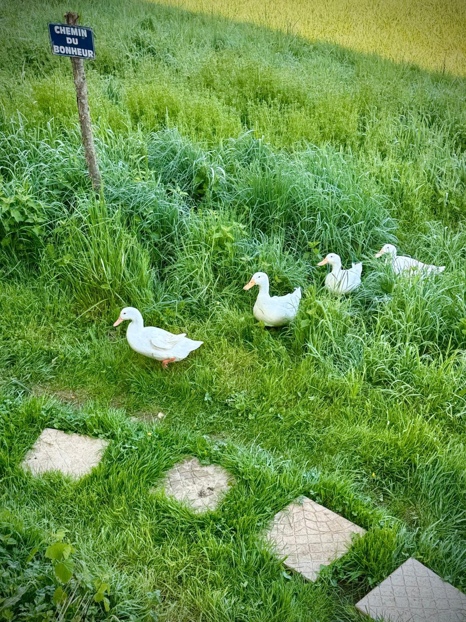 Ferme Gite Le Coeur Des Petits Chenes Saint-Pierre-de-Côle Esterno foto